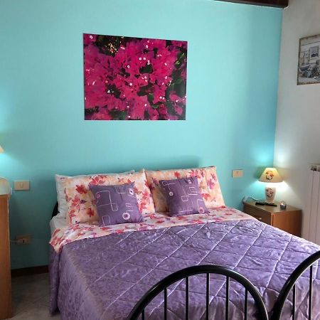 Oasi Di Paradiso - Comfy Private Apartment On Ground Floor With Terrace Дезенцано-дель-Гарда Экстерьер фото